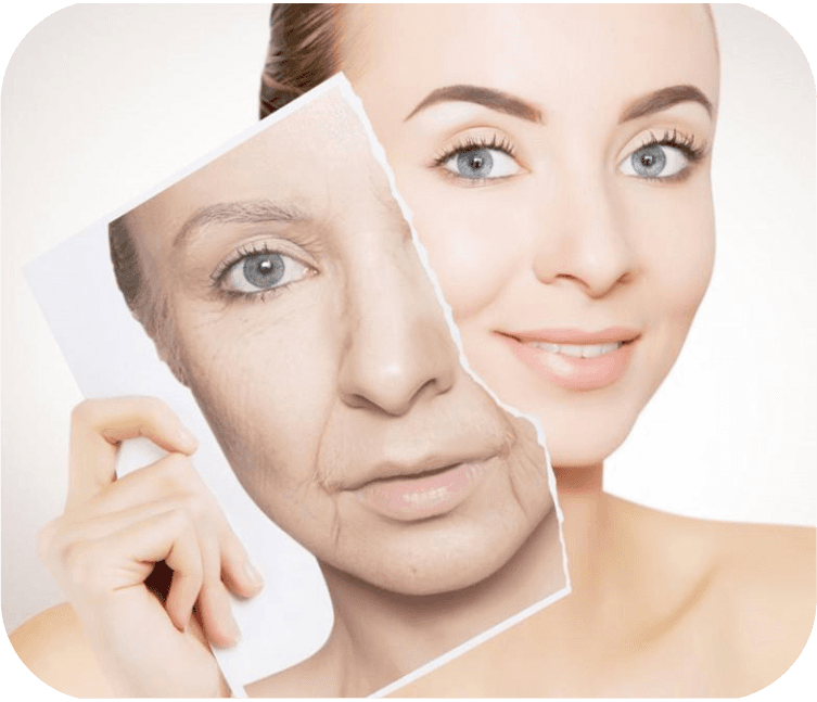 Anti-Aging